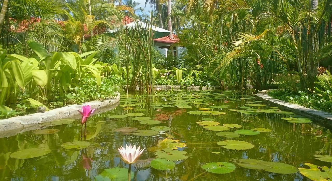 Good Karma Hotel Tangalle Exterior photo